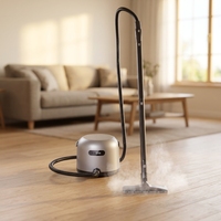 Nettoyeur Vapeur Portable CE à Chauffage Instantané Haute Température pour Nettoyage Profond Multi-Surfaces, Humide et Sec, pour Tapis et Tissus d'Ameublement Domestiques