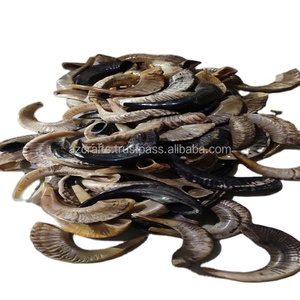 Corne de Ram shohard faite à la main, demi-poli, naturelle, vente en gros - Product Image 1
