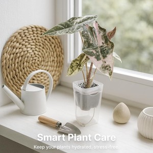 Jardinière carrée auto-arrosante épaissie pour semis, avec conception de séparation sec/humide, <span class=keywords><strong>pot</strong></span> de fleurs minimaliste en plastique pour plantes succulentes - Product Image 4