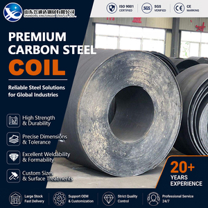 Bobina de Acero al Carbono S355JR S235JR Laminada en Caliente y Decapada de 5 mm x 1000 mm EN 10025 para Estructuras de Acero - Product Image 1