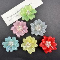 Aksesoris Resin Kristal Bunga DIY untuk Tas, Anting, Bros, Hiasan Pakaian, Jepit Rambut, Topi, Sepatu, Aksesoris Olahraga, Empat Musim