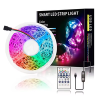 Bande LED RVB 5050 USB flexible en cuivre pour la décoration de salle de fête TV rétroéclairage musique synchronisation BT contrôle
