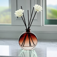 Diffuseur de parfum d'intérieur en verre, flacon de 50 ml et 200 ml, réutilisable, pour huiles essentielles