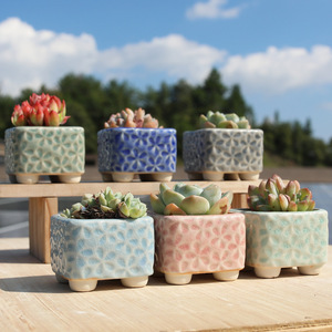Maceta cuadrada de cerámica con efecto de grietas de hielo, transpirable, pequeña, para suculentas y cactus, para jardín. - Product Image 1