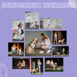 Correa Retráctil para Perro 2025, Nueva y Mejorada, con Luz <span class=keywords><strong>LED</strong></span> Intermitente para Paseos al Aire Libre - Product Image 6