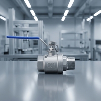 Vanne à levier à boisseau sphérique en acier inoxydable 304 à port interne pour le contrôle des systèmes de pipeline de produits pétroliers, vente en gros, usine OEM