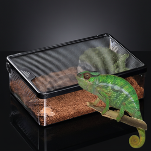 Boîte d'élevage de reptiles professionnelle empilable avec couvercle en maille respirante |   Terrarium en plastique transparent de haute qualité pour araignées, geckos, grillons - Product Image 4