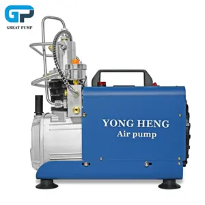 Yongheng OEM ODM Wholesale 110V/220V 4500psi High Pressure 300bar 30mpa Scuba Diving Snorkeling Paintball PCP Air Compressor