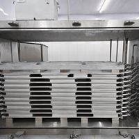 Congélateur IQF en acier inoxydable de qualité alimentaire, machine de congélation rapide par contact pour usine de transformation de fruits de mer, de bœuf et de crevettes