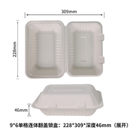 Haute qualité 9*6 pouces stockage des aliments et conteneur personnalisé imprimé assiettes jetables vaisselle en papier