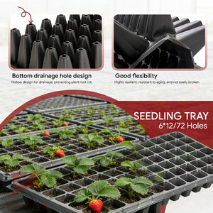 Plateau de propagation en PS durable à 50 alvéoles, écologique, <span class=keywords><strong>pour</strong></span> <span class=keywords><strong>semis</strong></span> en serre et en ferme - Product Image 2