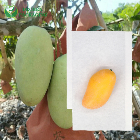 Cover Mango with Protective Covers for Mango Fruit - Easy-to-Install & Effective Cover Mango with Protective Covers for Mango Fruit - Easy-to-Install & Effective