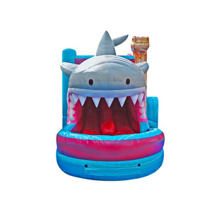 Scivolo Gonfiabile Doppio per Resort, Hotel e Parchi Divertimento, Casa Gonfiabile a Tema Squalo con Scivolo - Product Image 3