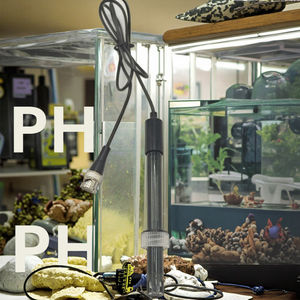 Sonda de <span class=keywords><strong>pH</strong></span> Portátil para Teste de Qualidade da Água de Piscina com Precisão de 0,01pH Personalização OEM/ODM/OBM - Product Image 1