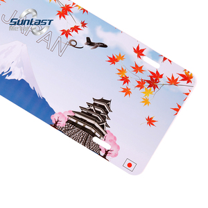 Bandera de EE. UU. 6 "* 12" logotipo 3D impresión personalizada precio de fábrica matrículas de coche al por mayor máquina de pintura de matrículas - Product Image 6