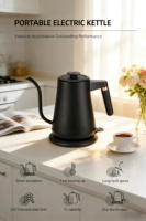 Bouilloire électrique à col de cygne 1000W, théière pour café infusé à la main, 1,0L, bouilloire à bec fin, contrôle de la température, 220V