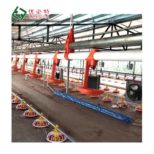 Fully Automatic Multi-Series Broiler Complete Drinker/Feeder Shed Chicken Farming Equipment Poultry