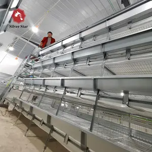 Full automatic chicken battery cage broilers rearing poultry equipments for nigeria farm