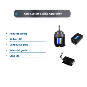 Kit Pengontrol Motor Terintegrasi dengan Solusi Daya Tambahan Konverter DC-DC untuk Penggerak Kendaraan Industri <span class=keywords><strong>Forklift</strong></span> Listrik - Product Image 3