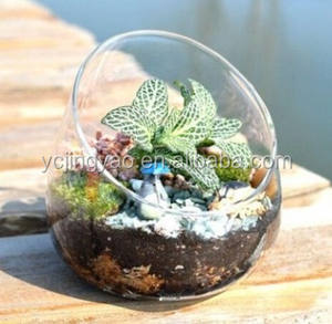 Home Decorative Handblown Big Mouth Clear Glass Air Plant Glass Bowl Terrarium - Product Image 1