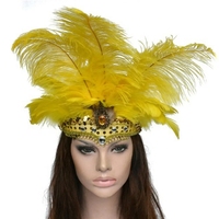 Indien cristal couronne plume bandeaux fête Festival célébration coiffure carnaval casque couvre-chef Halloween nouveau