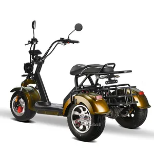 Популярный Электрический велосипед для инвалидных колясок, 2000 Вт, 2*60 В, 20 А · ч, скутер с тремя колесами, Электрический Чоппер, скутер, мотоциклы