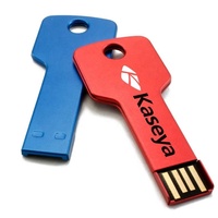 USB Flash Drive Bentuk Kunci dengan LOGO Kustom 4GB 8GB 16GB 32GB 64GB 128GB