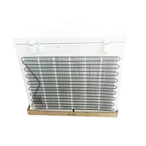 Congélateur coffre à double ouverture supérieure BD-<span class=keywords><strong>308</strong></span> à isolation en mousse, refroidissement direct, alimentation 12V/220V solaire et par <span class=keywords><strong>batterie</strong></span>, avec porte intérieure vitrée - Product Image 4