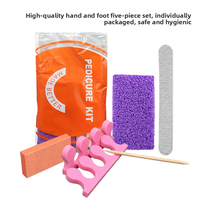 Kit de Pédicure 5 Pièces Violet avec Pierre Ponce, Lime à Ongles en Bois et Séparateurs d'Orteils – Ensemble de Manucure Jetable pour Salon, SPA, Vente en Gros
