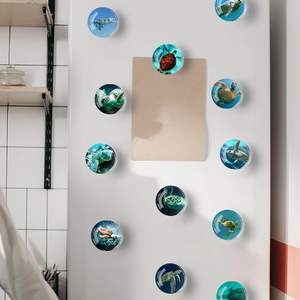 Aimant de réfrigérateur magnétique en verre personnalisé 2025 tortue design logo moderne souvenir pour <span class=keywords><strong>voyage</strong></span> cadeau parfait pour les amis et la famille - Product Image 5