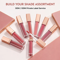 Vente en gros de gloss à lèvres hautement pigmenté, logo personnalisé, marque privée, gloss à lèvres hydratant, multi-couleurs, rouge à lèvres liquide longue durée