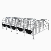 Offre Spéciale : Équipement d'élevage porcin – Cages de gestation pour porcs destinées aux fermes et l'élevage de bétail