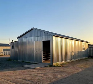 Estructura de Acero Ligero para Techos, Casa Prefabricada, Unidades de Almacenamiento, Edificio para Almacenes - Product Image 3