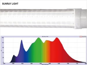 Cámara de Cultivo de Plantas Medicinales con Alta Intensidad de Luz, Modelo P10-11, Dispositivo de Laboratorio LED, Precio al por Mayor - Product Image 2