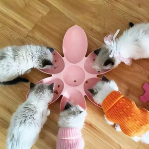 Comedero para Gatos al por Mayor, Dispensador de Comida para Múltiples Gatos, Tazón de Alimentos con Seis Compartimentos en Forma de Pétalo, Tazón de Plástico para Leche de Gatitos, Suministros para Alimentación de Gatos - Product Image 4