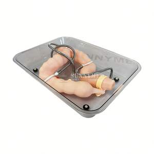 Хирургический симулятор толстой кишки, медицинская обучающая модель пищеварительной системы, гастродуоденальная модель для эндоскопического обучения ESD - Product Image 1