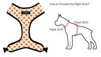 Ensemble Harnais pour Chien avec Gilet en Velours Côtelé Réglable, Collier, Laisse, Nœud Papillon et Pochette – Accessoires de Promenade Doux pour Animaux de Compagnie – Marque Privée, Vente en Gros