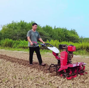 Multifuncional Mini Diese Farm Tiller Poderoso Jardim & Land Cultivator Máquina Usada para Subsoiling & Agricultura - Product Image 2