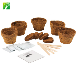 Kit de inicio de jardín interior de estilo rural, casa de árbol de bonsái DIY, macetas para cultivo de plantas, maceta, maceta para vivero, escritorio embalado en cartón - Product Image 6