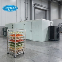 Déshydrateur de fruits industriel multifonctionnel à installation facile pour avocat, fraise, prune