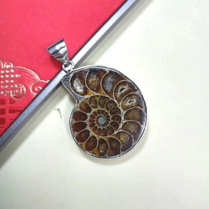 Venta al por mayor de fósiles de caracola natural, colgante de espécimen fósil de amonita arcoíris para collares de dijes - Product Image 3