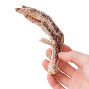 Venta al por mayor de bocadillos liofilizados para mascotas, comida para perros, pies de pato liofilizados, golosinas para perros, cachorros, Muele los dientes limpios, golosinas para gatos, bocadillos para gatos - Product Image 4