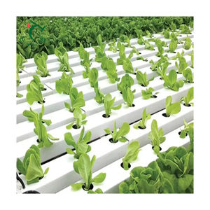 Invernadero comercial de vidrio acuapónico para agricultura ecológica con cubierta de hoja de policarbonato ventilador de refrigeración/calentador para cría - Product Image 4