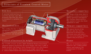 Piezas de Motor de Engranajes sin Escobillas de Alta Eficiencia para Uso Industrial, Hecho en Japón - Product Image 3