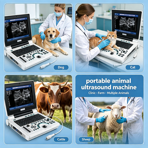 Scanner à ultrasons noir et blanc pour ordinateur portable à double prise LCD de 12.1 "à bas prix avec <span class=keywords><strong>sonde</strong></span> convexe - Product Image 6