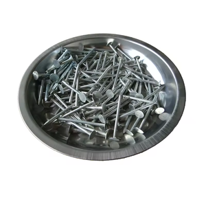 Clous en fer à tête plate galvanisés à haute résistance <span class=keywords><strong>pour</strong></span> la toiture, les bardages, les clôtures, la construction et le travail du bois - Product Image 4