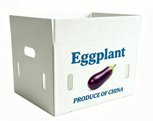 Boîtes pliables en plastique ondulé pour légumes et fruits : asperges, raisins, okra, maïs, brocoli, aubergines, pommes <span class=keywords><strong>de</strong></span> <span class=keywords><strong>terre</strong></span>, oignons - Product Image 5