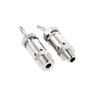 BSPT/NPT SS304 Stainless Steel 1/4" 1/2" <b>Mini</b> Exhaust Male Adjustable Air Relief <b>Compressor</b> Safety Vent Available With BSPT/NPT - Product Image 2