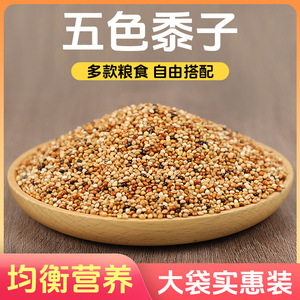 Alimento para Aves Crown Asia, Mezcla Nutritiva para Periquitos, Cacatúas, Agapornis, Conures, Venta al por Mayor - Product Image 4