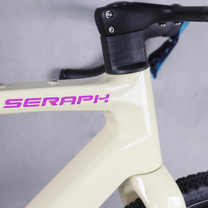 Bicicleta Completa <span class=keywords><strong>Tantan</strong></span> con Cuadro de Carbono, Bicicleta de Gravel con Frenos de Disco, Cuadro WheelTop, Grupo GEX 1*13, Ruedas de Aluminio GR208 - Product Image 3